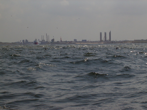 passeren havenmond IJmuiden